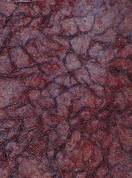 glaze tissue texture violet.jpg