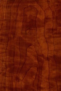 wood dark maple.jpg